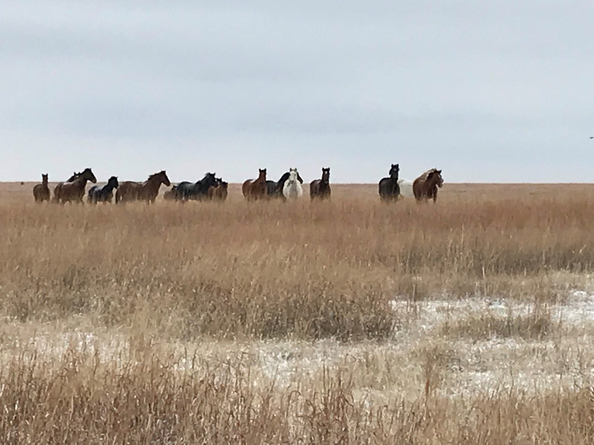 horse ranch inspiration for New home construction Cincinnati 