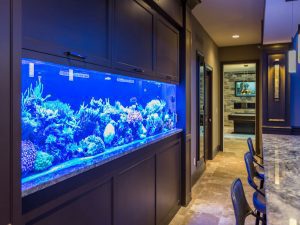 Cincinnati Custom Home aquarium