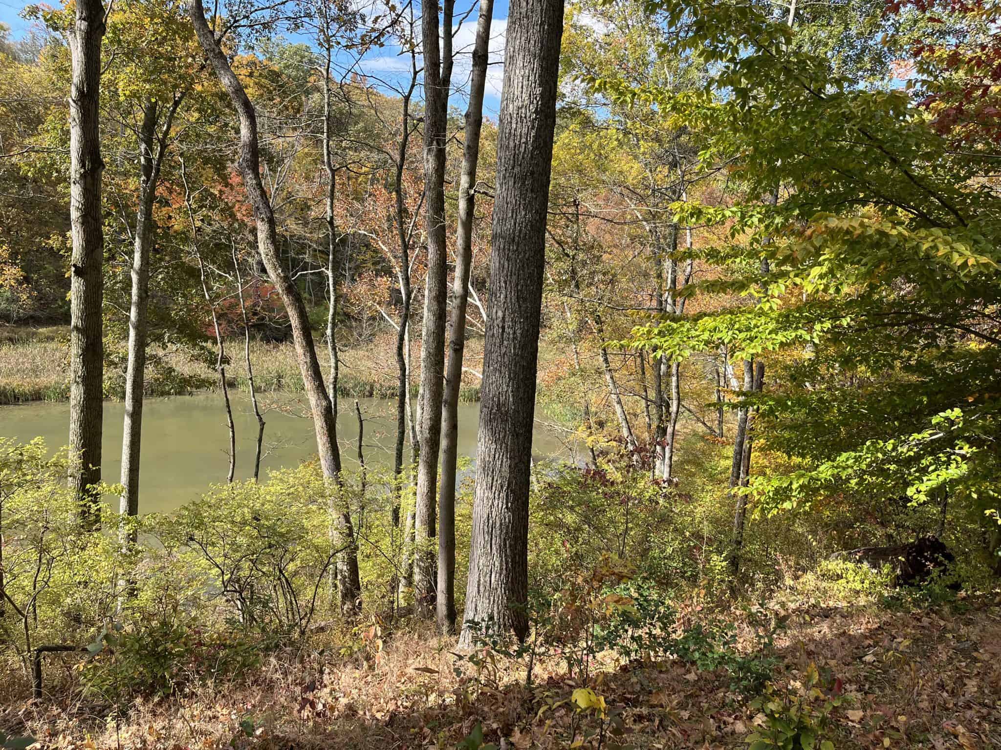 Hensley Airpark Home For Sale - u8d11ot
